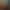Lightphobe.