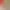 https://shared.akamai.steamstatic.com/store_item_assets/steam/apps/1221800/header.jpg?t=1729263879