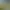 Northgard - Himminbrjotir, Clan of the Ox.