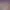 https://shared.akamai.steamstatic.com/store_item_assets/steam/apps/1224100/header.jpg?t=1701201711