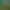 The Sims™ 4 Jungle Adventure.