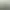 Northgard - The Official Soundtrack.