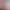 https://shared.akamai.steamstatic.com/store_item_assets/steam/apps/1238851/header.jpg?t=1631822823