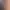 https://shared.akamai.steamstatic.com/store_item_assets/steam/apps/1239020/header.jpg?t=1709261283