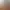 https://shared.akamai.steamstatic.com/store_item_assets/steam/apps/1248800/header.jpg?t=1745569870