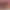 https://shared.akamai.steamstatic.com/store_item_assets/steam/apps/1250220/header.jpg?t=1697152188