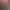 https://shared.akamai.steamstatic.com/store_item_assets/steam/apps/1250760/header.jpg?t=1744185741