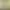 https://shared.akamai.steamstatic.com/store_item_assets/steam/apps/1255270/header.jpg?t=1732875379
