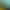 https://shared.akamai.steamstatic.com/store_item_assets/steam/apps/1263840/header.jpg?t=1605443061