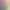 https://shared.akamai.steamstatic.com/store_item_assets/steam/apps/1264520/header.jpg?t=1741460298