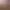 https://shared.akamai.steamstatic.com/store_item_assets/steam/apps/1264650/header.jpg?t=1729155692