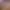 https://shared.akamai.steamstatic.com/store_item_assets/steam/apps/1264730/header.jpg?t=1735306543