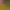 https://shared.akamai.steamstatic.com/store_item_assets/steam/apps/1270010/header.jpg?t=1739464293