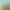https://shared.akamai.steamstatic.com/store_item_assets/steam/apps/1272840/header.jpg?t=1723627996