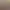 https://shared.akamai.steamstatic.com/store_item_assets/steam/apps/1273080/header.jpg?t=1668442656