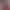 https://shared.akamai.steamstatic.com/store_item_assets/steam/apps/1273260/header.jpg?t=1732213932