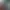 https://shared.akamai.steamstatic.com/store_item_assets/steam/apps/1273400/header.jpg?t=1747636769