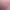 https://shared.akamai.steamstatic.com/store_item_assets/steam/apps/1277930/header.jpg?t=1747875621