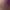 https://shared.akamai.steamstatic.com/store_item_assets/steam/apps/1281160/header.jpg?t=1692688922