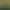 https://shared.akamai.steamstatic.com/store_item_assets/steam/apps/1283410/header.jpg?t=1737877432