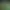 Voxelotl Garden.