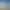 Voxelotl Garden.
