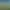 Voxelotl Garden.
