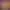 https://shared.akamai.steamstatic.com/store_item_assets/steam/apps/1286680/header.jpg?t=1737970341