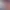 https://shared.akamai.steamstatic.com/store_item_assets/steam/apps/1296200/header.jpg?t=1727269748