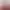 https://shared.akamai.steamstatic.com/store_item_assets/steam/apps/1310910/header.jpg?t=1745475174