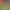 https://shared.akamai.steamstatic.com/store_item_assets/steam/apps/1315270/header.jpg?t=1717210907
