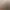 https://shared.akamai.steamstatic.com/store_item_assets/steam/apps/1324780/header.jpg?t=1746777673