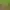 https://shared.akamai.steamstatic.com/store_item_assets/steam/apps/1328400/header.jpg?t=1717808866