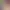 https://shared.akamai.steamstatic.com/store_item_assets/steam/apps/1332990/header.jpg?t=1749813531