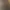 https://shared.akamai.steamstatic.com/store_item_assets/steam/apps/1342060/header.jpg?t=1749386872