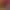 https://shared.akamai.steamstatic.com/store_item_assets/steam/apps/1342410/header.jpg?t=1750387977
