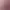 https://shared.akamai.steamstatic.com/store_item_assets/steam/apps/1347430/header.jpg?t=1748325102