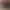 https://shared.akamai.steamstatic.com/store_item_assets/steam/apps/1349170/header.jpg?t=1687194781