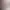 https://shared.akamai.steamstatic.com/store_item_assets/steam/apps/13500/header.jpg?t=1720535324