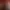 https://shared.akamai.steamstatic.com/store_item_assets/steam/apps/1352470/header.jpg?t=1735721468