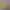https://shared.akamai.steamstatic.com/store_item_assets/steam/apps/1353550/header.jpg?t=1732665968
