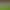 https://shared.akamai.steamstatic.com/store_item_assets/steam/apps/1353670/header.jpg?t=1710126863