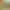 https://shared.akamai.steamstatic.com/store_item_assets/steam/apps/1356440/header.jpg?t=1734034557