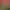 https://shared.akamai.steamstatic.com/store_item_assets/steam/apps/1358320/header.jpg?t=1647234649