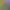 https://shared.akamai.steamstatic.com/store_item_assets/steam/apps/1372110/header.jpg?t=1720409046