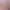 https://shared.akamai.steamstatic.com/store_item_assets/steam/apps/1373320/header.jpg?t=1657204091