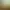 RuneScape: Dragonwilds.