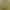 https://shared.akamai.steamstatic.com/store_item_assets/steam/apps/1374630/header.jpg?t=1604366793