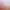 https://shared.akamai.steamstatic.com/store_item_assets/steam/apps/1375950/header.jpg?t=1597261815