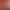 https://shared.akamai.steamstatic.com/store_item_assets/steam/apps/1383740/header.jpg?t=1748891438